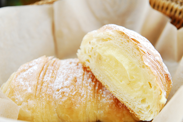 빵다무르이미지